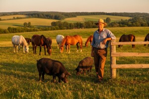 Robert Čondić šest je godina čekao na struju na imanju: Administracija je strašna, ali uspjet ćemo!