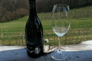 Ovaj vikend krenite put Štrigove na Festival pušipela