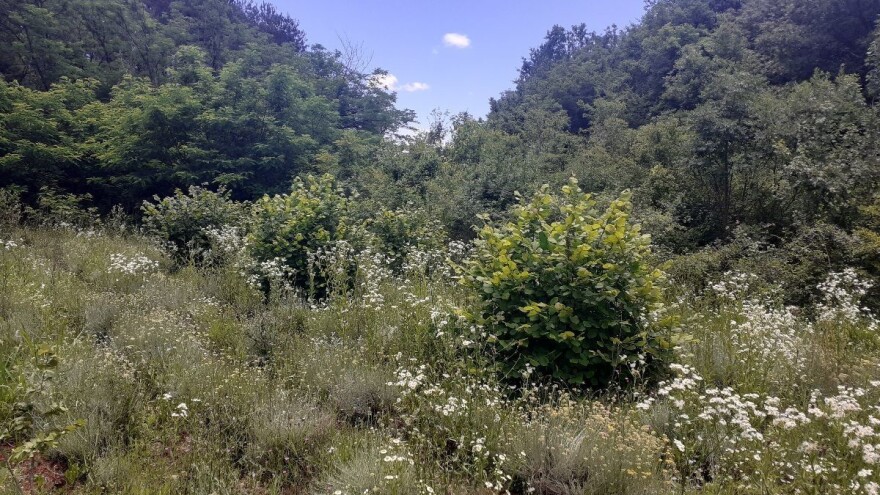 Do kraja mjeseca i početkom idućeg, sunčano uz porast temperatura