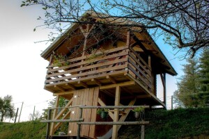Spavanje na sijenu, jabuka sa stabla nadohvat ruke. Jednostavno, robinzonski turizam