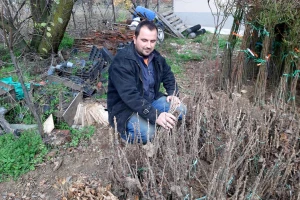 Crna, bela i crvena ribizla sve traženija - kako se uzgaja?