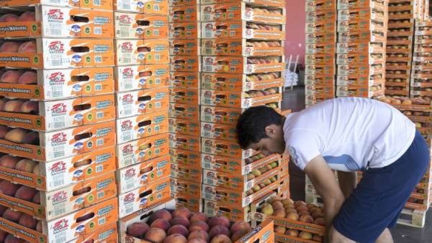 Robnim berzama do sigurne trgovine