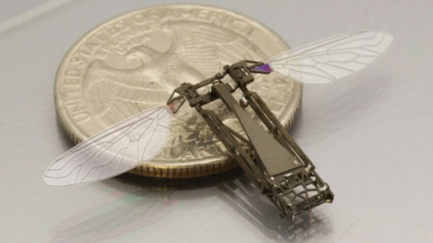 Roboti pčele - znanstvena fantastika ili?