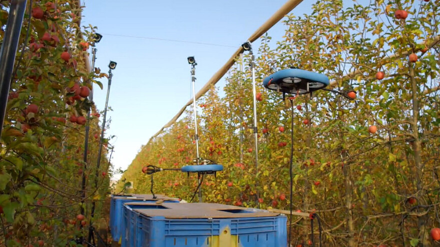 Dron za berbu voća je najbolji terenski robot