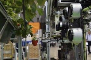 Roboti u poljoprivredi više nisu mit!