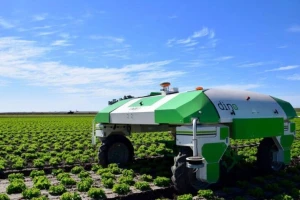 Oz, Dino i Ted: Roboti za suzbijanje korova ne zagađuju tlo, a rade i do 8 sati