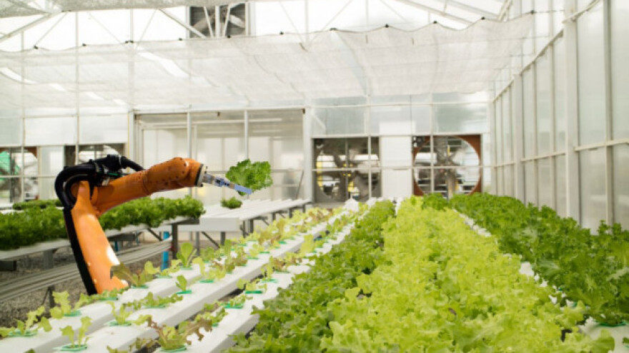 Roboti na poljima - budućnost EU poljoprivrede?