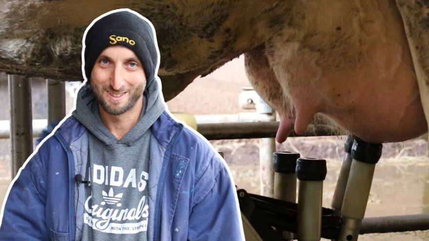 M²erlin muze krave kod Radića: "Zamijenio je četiri radnika"