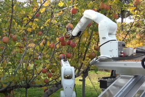 Robotu treba 11 sekundi da ubere jabuku - jednako kao čovjeku?