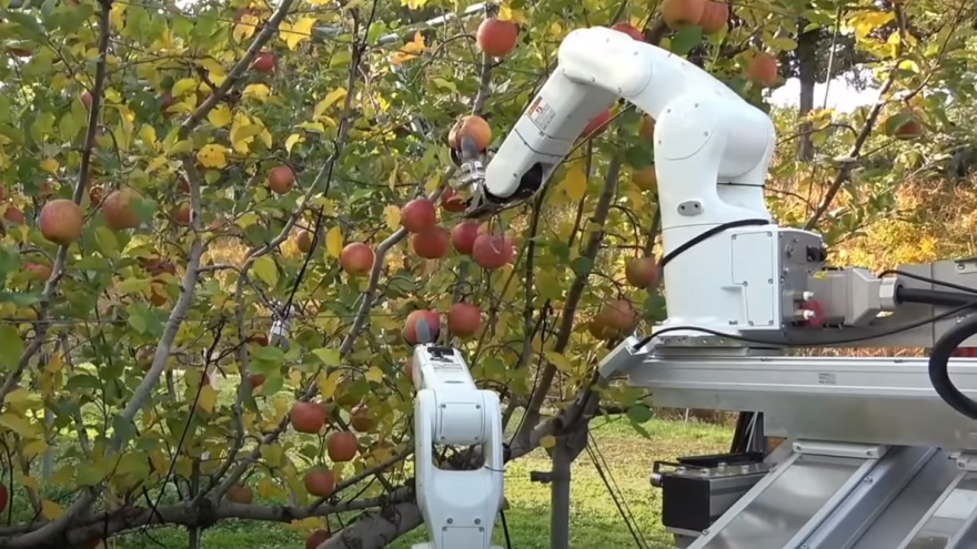 Robotu treba 11 sekundi da ubere jabuku - jednako kao čovjeku?