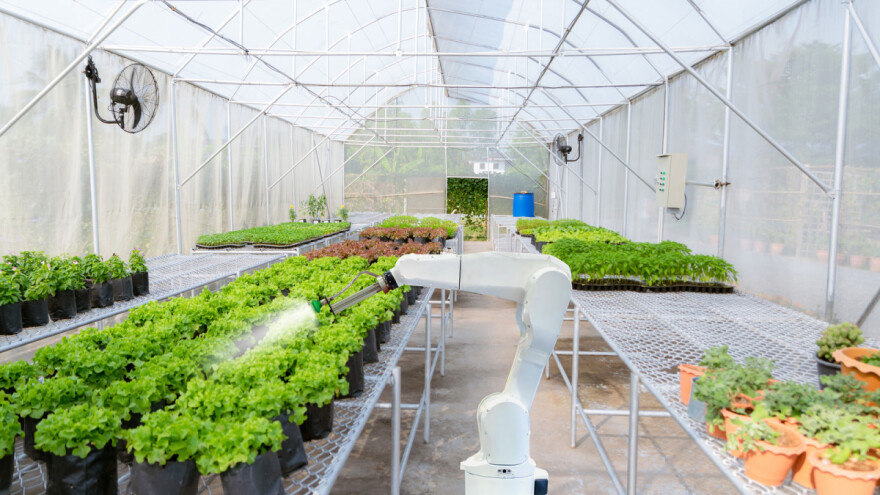 Roboti će nas spasiti od gladi?