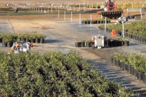 Roboti i u hortikulturi - klikom do informacija!