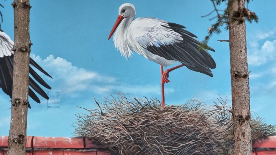 Zašto je Donje Međurovo ponelo titulu - "Niško selo roda"?