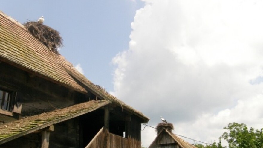 Naknada od 700 kuna za rodina gnijezda