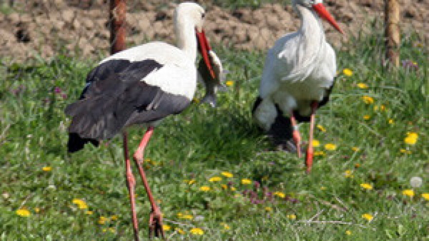 Sela u Lonjskom polju zovu turiste