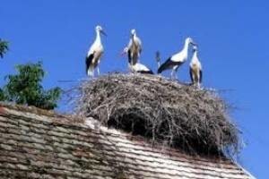 Potpora očuvanju sela i seoskog prostora