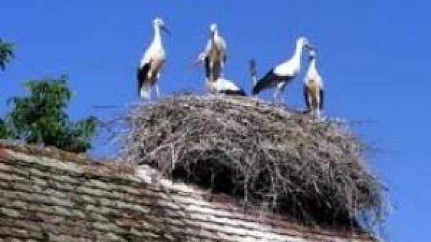 Potpora očuvanju sela i seoskog prostora
