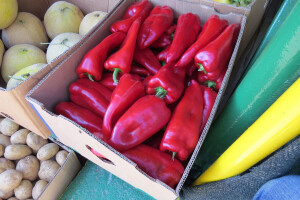 Rog paprika od siječnja poskupjela gotovo 40%