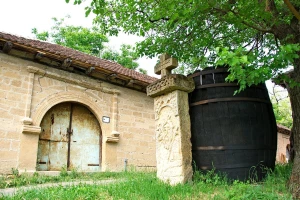 Negotinska Krajina: Novi zasadi vinove loze zbog sve veće tražnje za vinom
