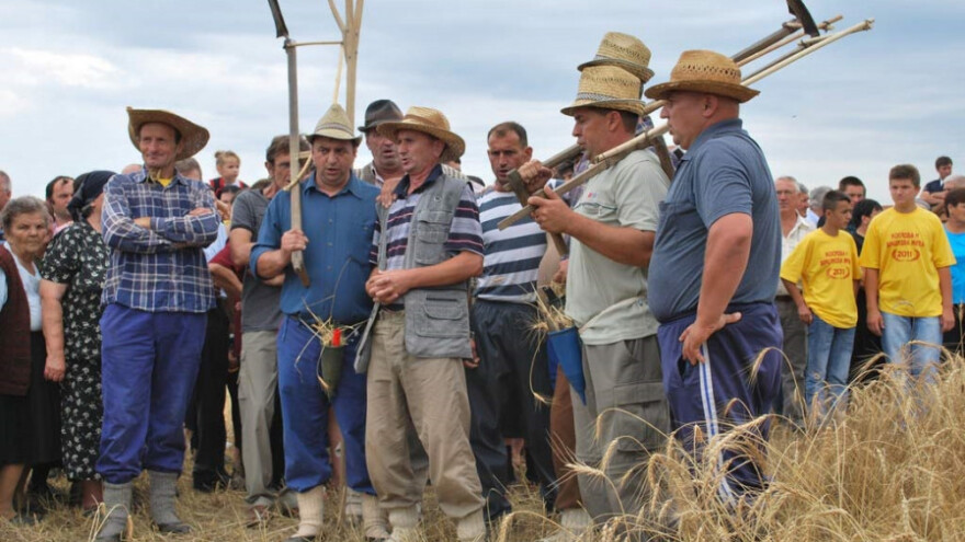 Rogoljska žetva - kako se nekad živjelo i radilo na selu