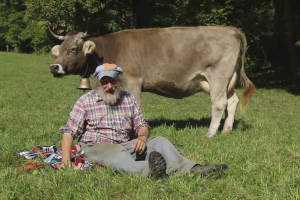 Poticaji na rogove tema švicarskog referenduma - kampanju pokrenuo farmer Armin Capaul