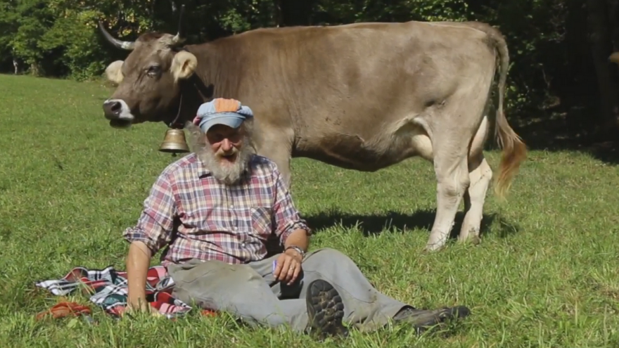 Poticaji na rogove tema švicarskog referenduma - kampanju pokrenuo farmer Armin Capaul
