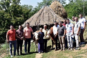 Stigla pomoć Vukici Milosavljević koju je grom ostavio bez krava