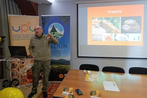 Damir Rogulja: Učinkovitost propolisa ovisi o tome što su pčele u njega ugradile