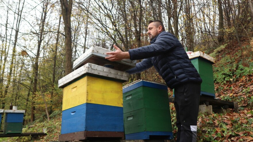 Izdašan prinos meda - rad i trud se isplatili