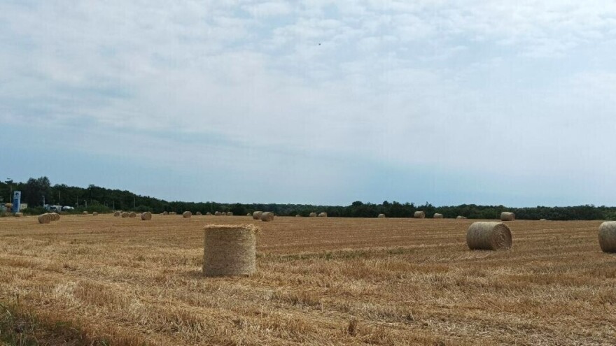 Koje su koristi slame: Od stelje za stoku do slamarice u wellnessu