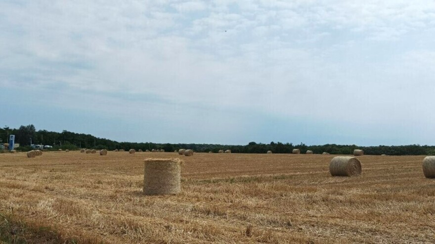 Koje su koristi slame: Od prostirke za stoku do slamarice u wellnessu