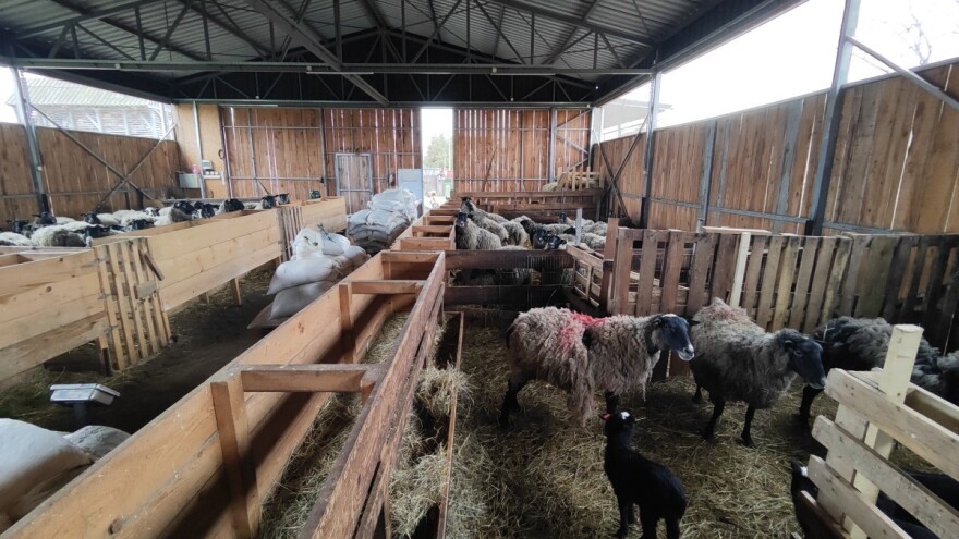 Kako pripremiti ovčarnik za zimu?