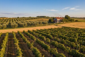 Romić uspostavlja suradnju s HPK