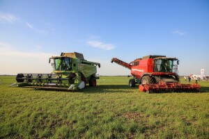 Rope, Lexioni i Holmeri stršali u bačkoj ravnici