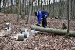 Pokrenuta je europska mreža za održivo korištenje drvne sirovine Rosewood