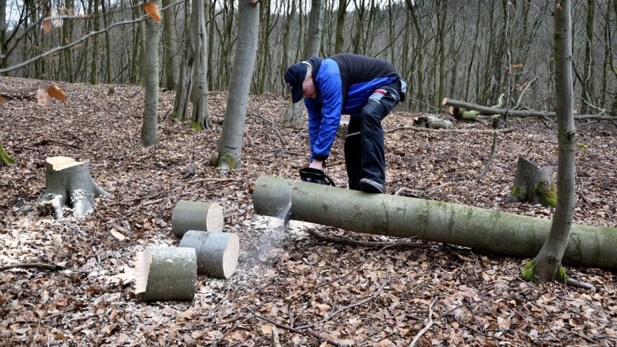 Pokrenuta je europska mreža za održivo korištenje drvne sirovine Rosewood