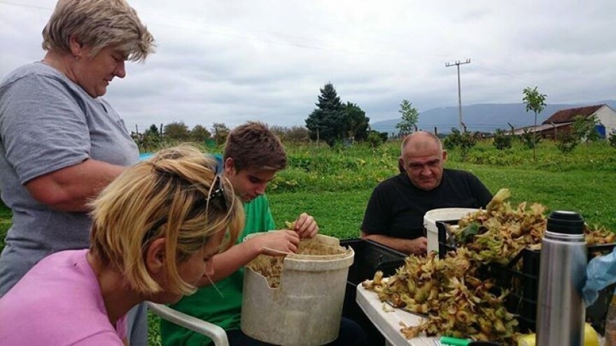 Na OPG Rosman i snaja i svekrva mogu zajedno!