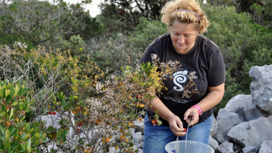 Sa šest diploma živi od poljoprivrede i ribarstva