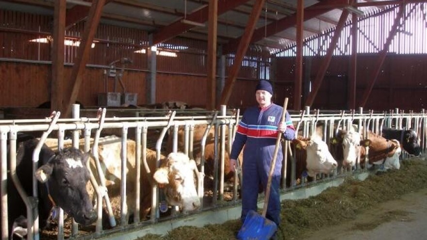 Manje se prodaje kravlje mlijeko i žive svinje