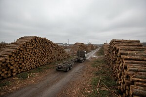 RS i dalje traži zabranu izvoza trupaca, FBiH je za uvođenje taksi