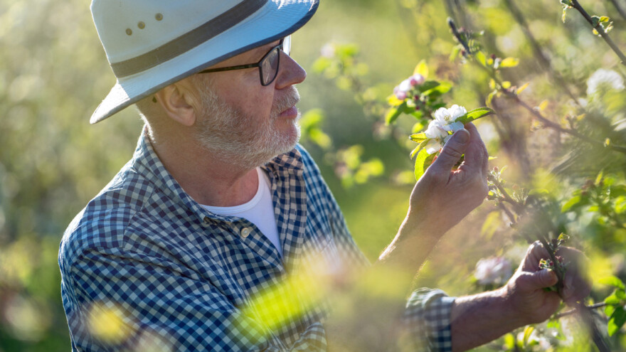 Voćarstvo RS na raskršću - dalje propadanje ili oporavak