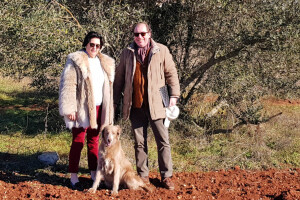 S uljima iz maslinika u Istri Austrijanci Beatrix i Rudolf osvojili sedam nagrada za Hrvatsku!