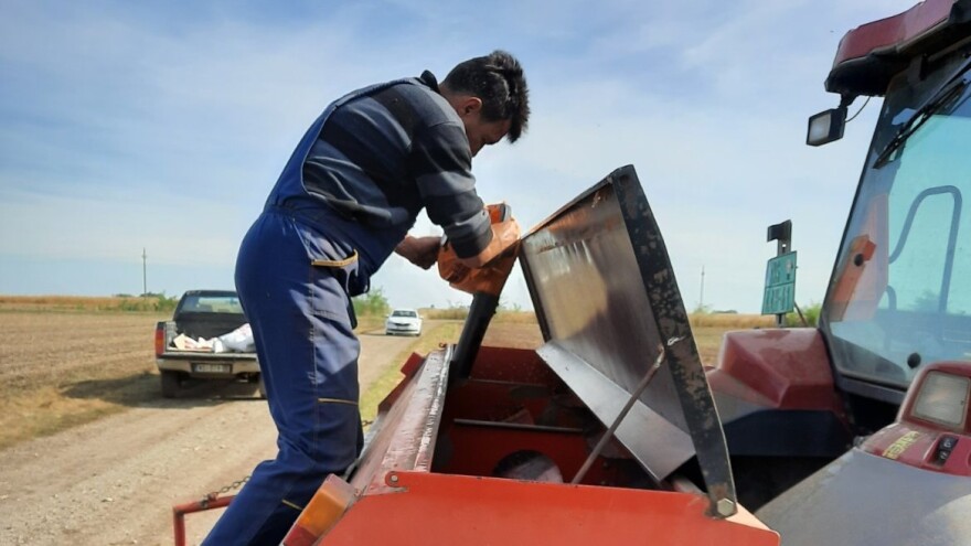 Produženi rokovi setve pšenice - koristite deklarisano seme zbog sigurnosti u proizvodnji