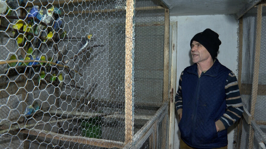 Ibrahimovići cijeli život uzgajaju sitne životinje, a ljubav sada prenose i na unuka