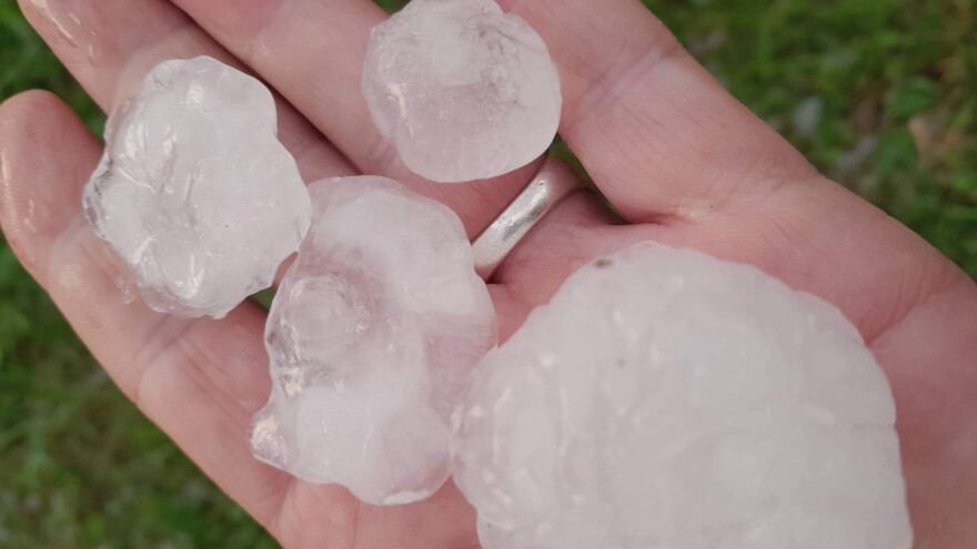 Ništa od prokupačke višnje: Nevreme uništilo useve