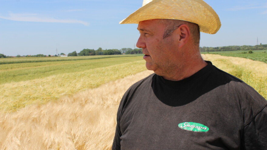 Ako odličan poljoprivrednik mora biti komercijalist i dizajner etiketa - onda nešto ne štima