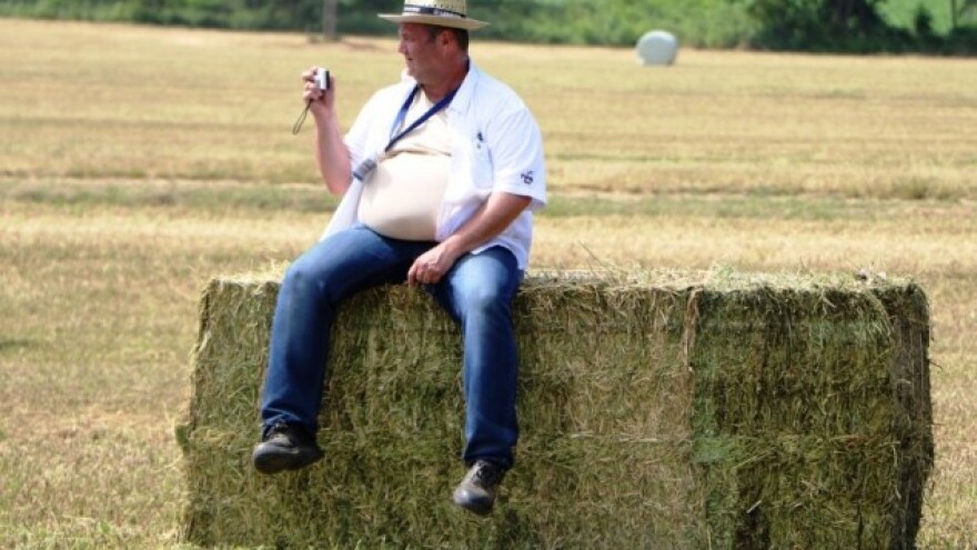 Slavonska pšenica samo za stočnu hranu?!