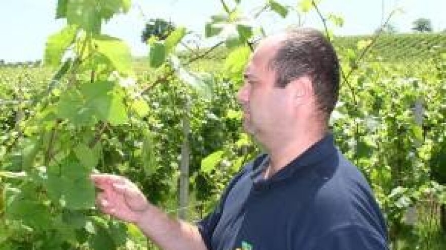 Moramo smisliti učinkovitiji način prosvjedovanja