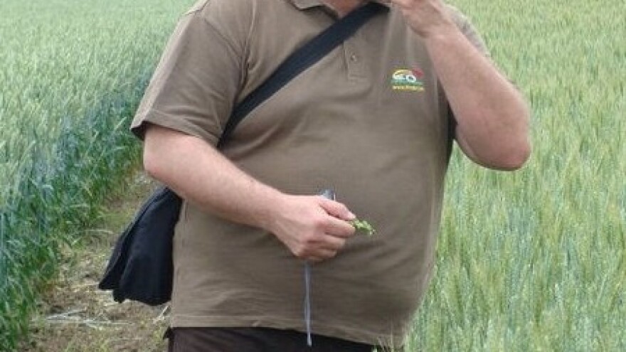 Kuknjava na sva zvona