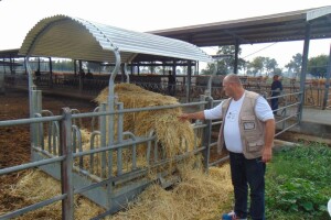 Tehnologiju i kvalitetu imamo, rastu i količine, no što je s distribucijom domaćih proizvoda?